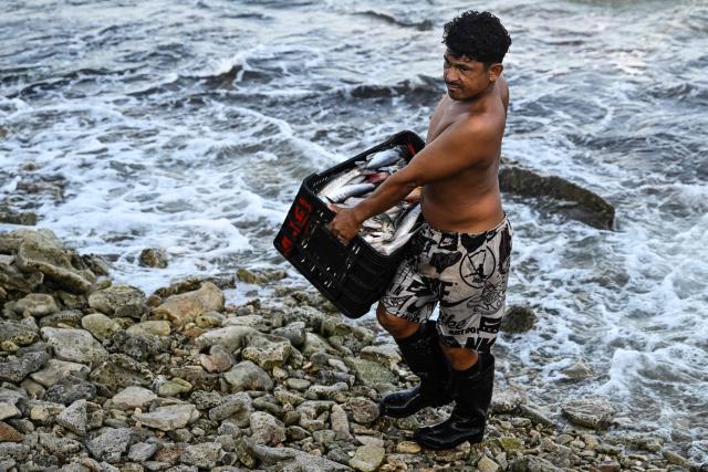 A fisherman carries a box loaded with fishes at El Palito beach, in Puerto Cabello, Carabobo state, on January 23, 2026. (Photo by RONALDO SCHEMIDT / AFP)