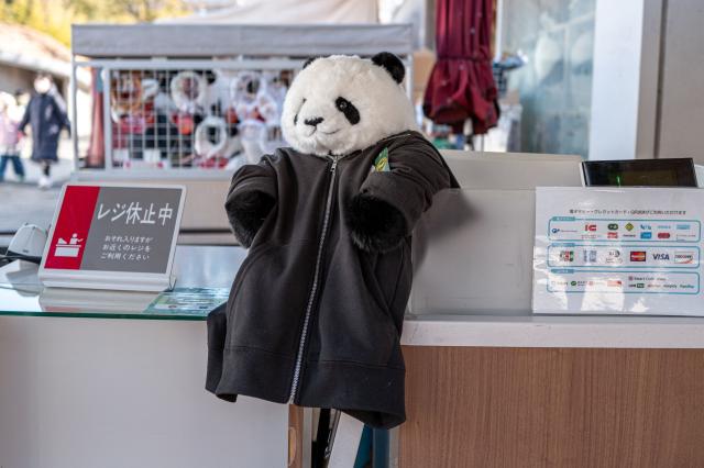 A stuffed toy panda is placed at the cashier of a souvenir shop during the final day for public viewing of twin pandas Xiao Xiao and Lei Lei before their departure for China, at Ueno Zoo in Tokyo on January 25, 2026. Panda twins Lei Lei and Xiao are set to return to China on January 27, leaving Japan without a panda for the first time since the two Asian giants normalised the diplomatic ties in 1972. The return came as ties between Japan and China quickly soured after Japan's Prime Minister Sanae Takaichi hinted that Tokyo could intervene militarily in the event of any attack on Taiwan. (Photo by Philip FONG / AFP)
