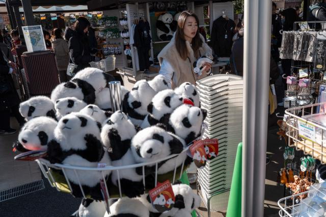 Stuffed toy panda souvenirs are seen for sale during the final day for public viewing of twin pandas Xiao Xiao and Lei Lei before their departure for China, at Ueno Zoo in Tokyo on January 25, 2026. Panda twins Lei Lei and Xiao are set to return to China on January 27, leaving Japan without a panda for the first time since the two Asian giants normalised the diplomatic ties in 1972. The return came as ties between Japan and China quickly soured after Japan's Prime Minister Sanae Takaichi hinted that Tokyo could intervene militarily in the event of any attack on Taiwan. (Photo by Philip FONG / AFP)