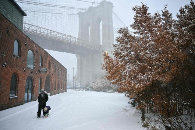 A person and their dog walk near the Brooklyn Bridge as snow falls in the Brooklyn borough of New York City on January 25, 2026. A massive winter storm on January 24 dumped snow and freezing rain from New Mexico to North Carolina as it swept across the United States towards the northeast, threatening tens of millions of Americans with blackouts, transportation chaos and bone-chilling cold. After battering the country's southwest and central areas, the storm system began to hit the heavily populated mid-Atlantic and northeastern states as a frigid air mass settled in across the nation. (Photo by ANGELA WEISS / AFP)