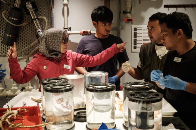 TOPSHOT - This photo taken on January 9, 2026 shows Indonesian crustacean specialist Pipit Pitriana (L) from the National Research and Innovation Agency (BRIN) discussing deep-sea specimens collected by a submersible with other marine scientists on the OceanXplorer, a research vessel operated by the marine non-profit OceanX, in the waters off Sulawesi island. A dome-fronted submersible sinks beneath the waves off Indonesia, heading nearly 1,000 metres down to the realm of purple-frilled corals and bioluminescent shrimp. This month, AFP boarded one of two submersibles belonging to OceanX, a non-profit founded by billionaire Ray Dalio and his son that works with scientists on its OceanXplorer ship to study the marine world. (Photo by YASUYOSHI CHIBA / AFP) / To go with 'INDONESIA-OCEANX-OCEANS-ENVIRONMENT-RESEARCH-SCIENCE' by Sara HUSSEIN