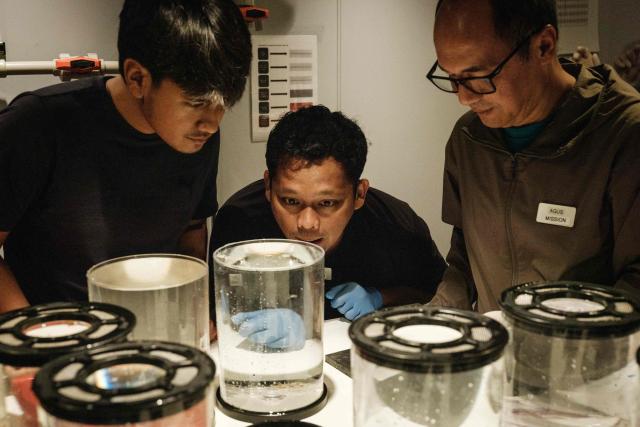 This photo taken on January 9, 2026 shows Indonesian marine scientists discussing deep-sea specimens collected by a submersible on the OceanXplorer, a research vessel operated by the marine non-profit OceanX, in the waters off Sulawesi island. A dome-fronted submersible sinks beneath the waves off Indonesia, heading nearly 1,000 metres down to the realm of purple-frilled corals and bioluminescent shrimp. This month, AFP boarded one of two submersibles belonging to OceanX, a non-profit founded by billionaire Ray Dalio and his son that works with scientists on its OceanXplorer ship to study the marine world. (Photo by YASUYOSHI CHIBA / AFP) / To go with 'INDONESIA-OCEANX-OCEANS-ENVIRONMENT-RESEARCH-SCIENCE' by Sara HUSSEIN