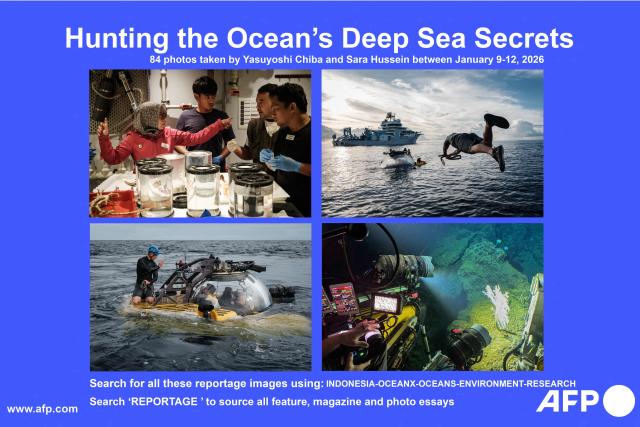 AFP presents a reportage of 84 pictures by photographer Yasuyoshi Chiba and journalist Sara Hussein taken between January 9-12, 2026 of marine science research being done from the OceanXplorer, a vessel operated by the marine non-profit OceanX, in the waters off Indonesia's Sulawesi island. A dome-fronted submersible sinks beneath the waves off Indonesia, heading nearly 1,000 metres down to the realm of purple-frilled corals and bioluminescent shrimp. This month, AFP boarded one of two submersibles belonging to OceanX, a non-profit founded by billionaire Ray Dalio and his son that works with scientists on its OceanXplorer ship to study the marine world.

Search for all these reportage images using: INDONESIA-OCEANX-OCEANS-ENVIRONMENT-RESEARCH

Search ‘REPORTAGE’ to source all feature, magazine and photo essays (Photo by Sara HUSSEIN and Yasuyoshi CHIBA / AFP) / To go with 'INDONESIA-OCEANX-OCEANS-ENVIRONMENT-RESEARCH-SCIENCE' by Sara HUSSEIN