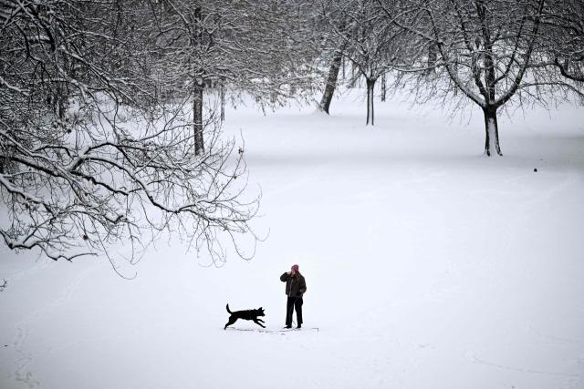 A woman plays with her dog after snow fell on Frankfurt am Main, western Germany, on January 26, 2026 as the air temperature reached 1 degrees Celsius above zero. (Photo by Kirill KUDRYAVTSEV / AFP)