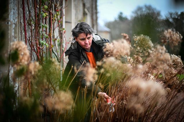This photo taken on January 16, 2026 shows Melissa Simpson, the head of horticulture, working at Dumfries House, headquarters of the King's Foundation near Cumnock, south of Glasgow, Scotland. The 2,000-acre estate is the headquarters of the King's Foundation and at the heart of a new Amazon Prime documentary "Finding Harmony: A King's Vision" which is set to premiere on January 28. (Photo by Andy BUCHANAN / AFP) / TO GO WITH Britain-royals-environment-climate-charity-education, REPORTAGE by Akshata KAPOOR