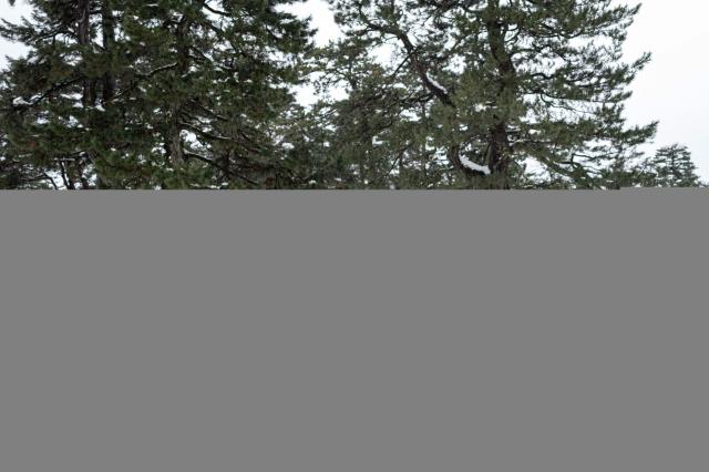 People visit the snow-covered Kenroku-en garden in Kanazawa, Ishikawa Prefecture on January 27, 2026. (Photo by Philip FONG / AFP)