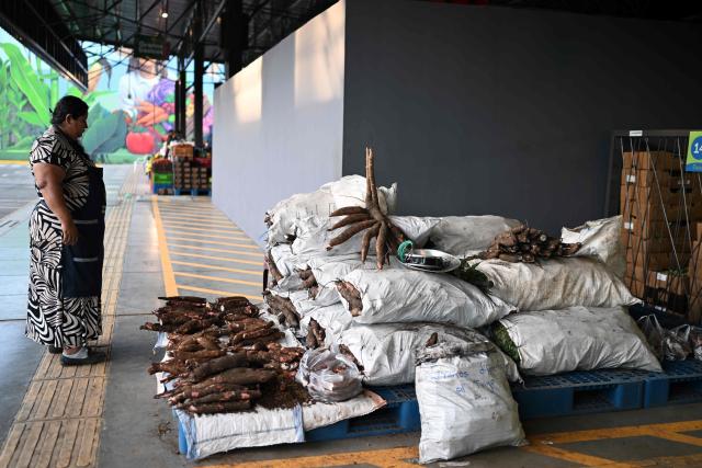 (FILES) A vegetable vendor waits for customers at the new food supply center on the day of its inauguration in Soyapango, El Salvador, on October 30, 2024. Most Salvadorans believe that their personal finances have deteriorated due to the cost of living in the country, to the point that it is now their greatest concern, ahead of security, according to a survey released on January 27, 2026. (Photo by Marvin RECINOS / AFP)
