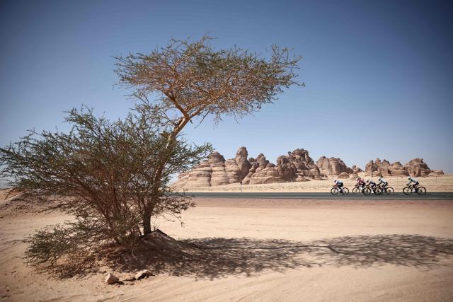 Cyclists in a breakaway ride in the second stage of the AlUla Tour cycling race, 152km from AlManshiyah Train Station to AlManshiyah Train Station on January 28, 2026. (Photo by Anne-Christine POUJOULAT / AFP)