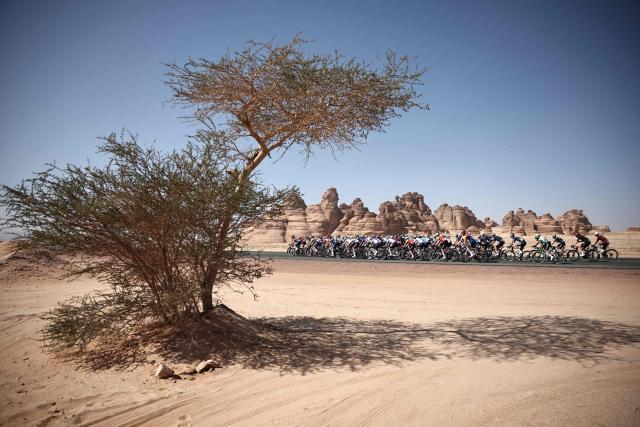 The pack rides in the second stage of the AlUla Tour cycling race, 152km from AlManshiyah Train Station to AlManshiyah Train Station on January 28, 2026. (Photo by Anne-Christine POUJOULAT / AFP)