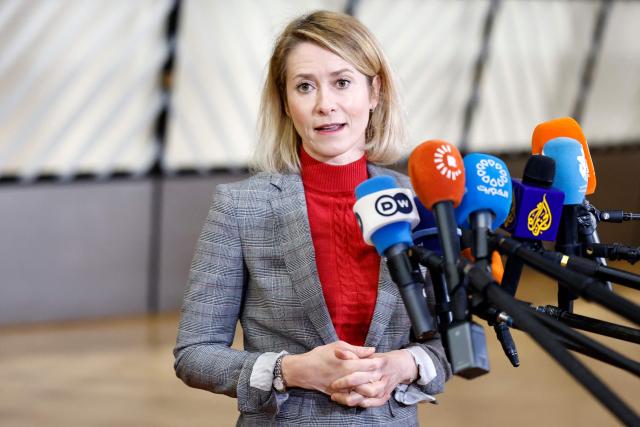 EU High Representative and Vice-President for Foreign Affairs and Security Policy Kaja Kallas talks to journalists upon arrival for a Foreign Affairs Council meeting in Brussels on January 29, 2026. The Council is expected to discuss the latest developments in Ukraine with discussions focused on peace negotiations, support for Ukraine and pressure on Russia. (Photo by SIMON WOHLFAHRT / AFP)