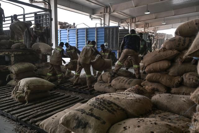 Workers unload sacks of cocoa beans from a truck at Transcao, a cocoa-processing company affiliated with Ivory Coast’s Conseil du Cafe-Cacao (CCC) in Abidjan, on January 29, 2026. (Photo by Sia KAMBOU / AFP)