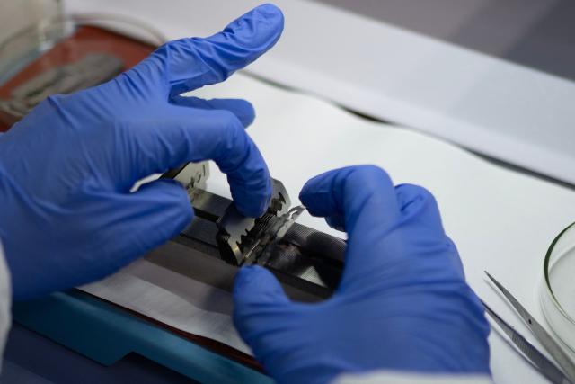 Belgian toxicologist Laura Pirard, specialized in marine mammals, works on biopsy samples of polar bear adipose tissue, in a laboratory onboard the science icebreaker vessel 'Kronprins Haakon' while sailing in eastern Spitzbergen, in the Svalbard archipelago, on April 9, 2025. The Norwegian Polar Institute, an Arctic research organisation, organised a five-week expedition aboard the high-tech research vessel and icebreaker Kronprins Haakon to collect adipose tissue biopsies and blood samples from polar bears in order to study the impact of pollutants on their health. (Photo by Olivier MORIN / AFP)
