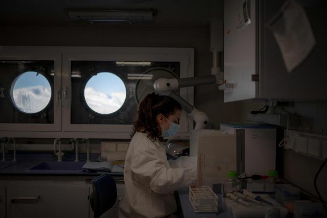 Belgian toxicologist Laura Pirard, who specialises in marine mammals, works on biopsy samples of polar bear adipose tissue, in a laboratory onboard the science icebreaker vessel 'Kronprins Haakon' while sailing in eastern Spitzbergen, in the Svalbard archipelago, on April 9, 2025. The Norwegian Polar Institute, an Arctic research organisation, organised a five-week expedition aboard the high-tech research vessel and icebreaker Kronprins Haakon to collect adipose tissue biopsies and blood samples from polar bears in order to study the impact of pollutants on their health. (Photo by Olivier MORIN / AFP)