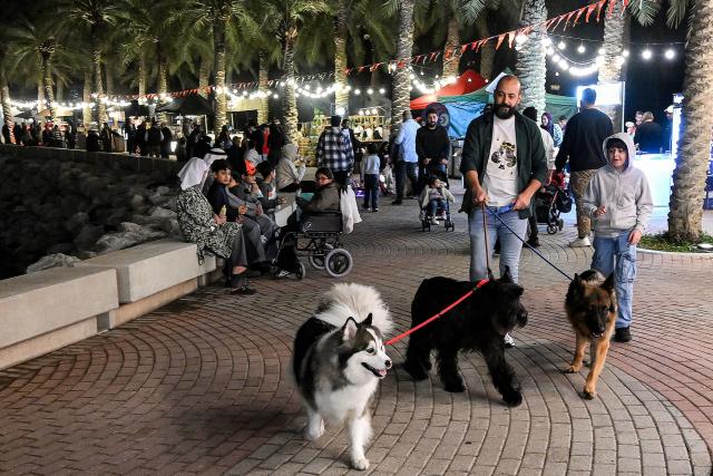 A man walks three dogs with a child along Kuwait City's Scientific Centre beachfront on January 29, 2026. (Photo by YASSER AL-ZAYYAT / AFP)