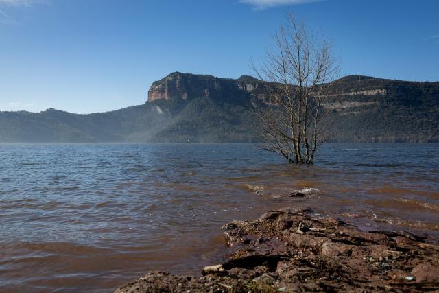 CORRECTION / This photograph taken on January 30, 2026 shows a partially submerged tree amid high water-level, in the reservoir of Sau in Vilanova de Sau in Catalonia. This long-Term project shows photos of the same places are taken every month over a very long period. (Photo by Josep LAGO / AFP) / “The erroneous mention[s] appearing in the metadata of this photo by Josep LAGO has been modified in AFP systems in the following manner: [January 30, 2026] instead of [December 18, 2025]. Please immediately remove the erroneous mention[s] from all your online services and delete it (them) from your servers. If you have been authorized by AFP to distribute it (them) to third parties, please ensure that the same actions are carried out by them. Failure to promptly comply with these instructions will entail liability on your part for any continued or post notification usage. Therefore we thank you very much for all your attention and prompt action. We are sorry for the inconvenience this notification may cause and remain at your disposal for any further information you may require.”