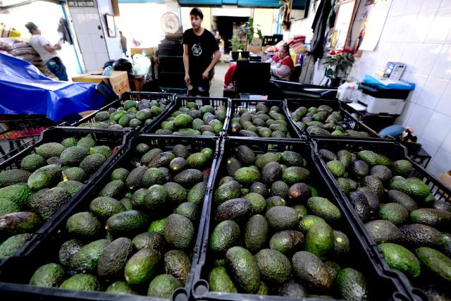 (FILES) Boxes of avocados are seen at the Central de Abastos market in Guadalajara, Jalisco state, Mexico on January 31, 2025. Mexico’s economy grew 0.7% in 2025 from the previous year, its weakest performance since the 2020 pandemic, due to persistent trade tensions with the United States, according to official figures released on January 30, 2026. (Photo by ULISES RUIZ / AFP)