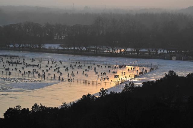 People chair-ski at the Summer Palace seasonal ice rink in Beijing on January 31, 2026. (Photo by Adek BERRY / AFP)