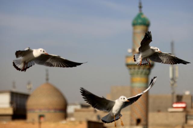 Seagulls wait for food thrown to them by residents from the Al-Ahrar Bridge over The Tigris River, in central Baghdad on February 1, 2026. (Photo by AHMAD AL-RUBAYE / AFP)
