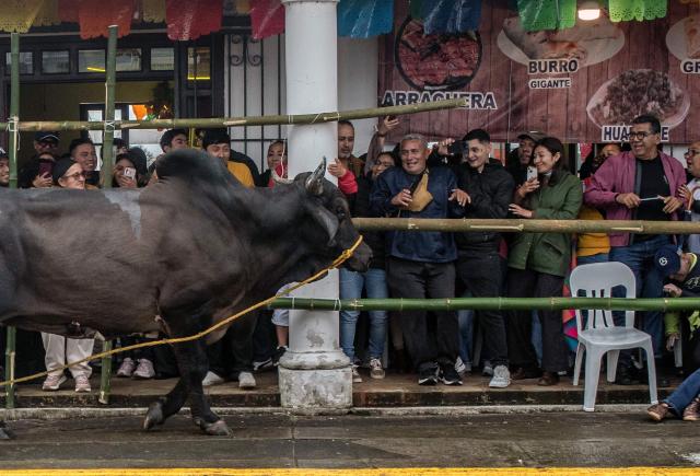 Residents of Tlacotalpan attend the traditional bull run during the Candelaria festivities in Tlacotalpan, Veracruz state, Mexico, on February 1, 2026. During the celebration, townspeople run after and taunt bulls through the streets. (Photo by Hector QUINTANAR / AFP)