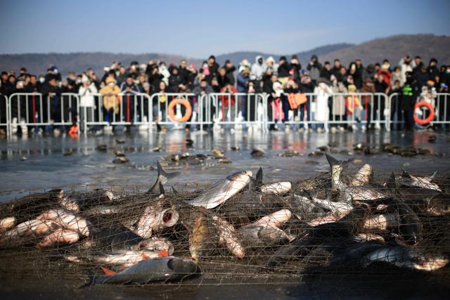 People watch the haul from a fishing net during the Second Xiuhu Winter Fishing Festival at Qipan Mountain in Shenyang, northern China's Liaoning province on February 1, 2026. (Photo by AFP) / China OUT