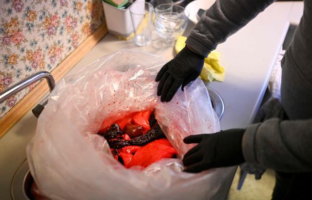 The husband of teacher Camilla Olsen opens a bag of seal meat at their home of the settlement Sarfannguit, near Sisimiut, Greenland on February 1, 2026. Sarfannguit is a settlement in central-western Greenland, is located within the Aasivissuit  Nipisat UNESCO World Heritage Site, and was inscribed on the World Heritage List in 2018 for its outstanding archeological sites representing the human occupation of Greenland for over 4,000 years. Currently, approximately 50 residents live there.

Search for all these reportage images using: GREENLAND - DENMARK - HUNTING - SEALING. (Photo by Ina FASSBENDER / AFP)