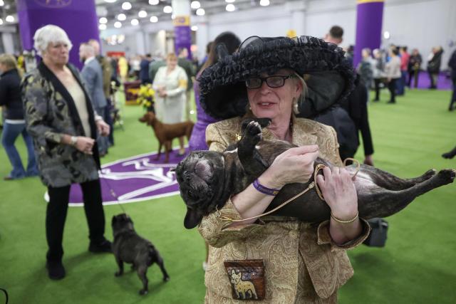 Bronwyn Bresnahan holds her French Bulldog in the judging ring during day one of the 150th Annual Westminster Kennel Club Dog Show at the Jacob K. Javits Convention Center in New York City on February 2, 2026. (Photo by TIMOTHY A. CLARY / AFP)