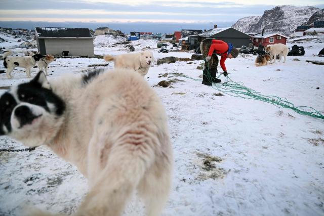 Musher Johanne Bech prepares her sled for a training ride near her home in Sisimiut, Greenland on February 3, 2026. (Photo by Ina FASSBENDER / AFP)