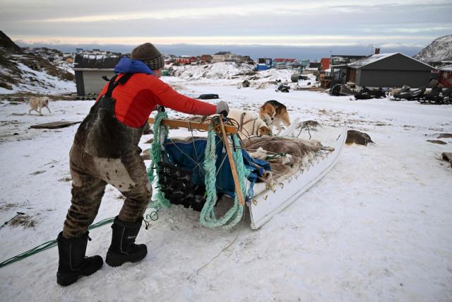 Musher Johanne Bech prepares her sled dogs for a training ride near her home in Sisimiut, Greenland on February 3, 2026. (Photo by Ina FASSBENDER / AFP)