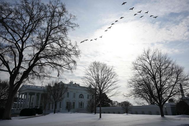 A flock of birds flies over the White House in Washington, DC, on February 3, 2026. (Photo by Oliver Contreras / AFP)