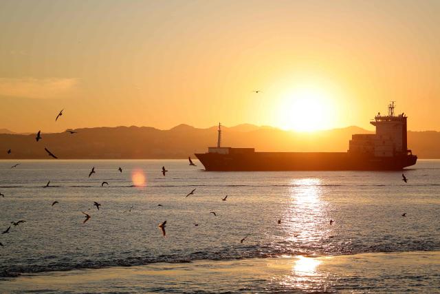 (FILES) The Turkish-flagged Moliva container ship, carrying hundreds of tonnes of possibly toxic industrial waste, enters the port of Durres, on November 8, 2024. The Durres Prosecutor's Office issued 33 arrest warrants on February 3, 2026 for suspected involvement in the trafficking of toxic waste that was turned away by Thailand. The waste left the Balkan nation in July 2024 in more than 100 containers. Thailand rejected the consignment following claims by an environmental group that it was illegal toxic waste. The shipment then returned to Albania. (Photo by Adnan Beci / AFP)