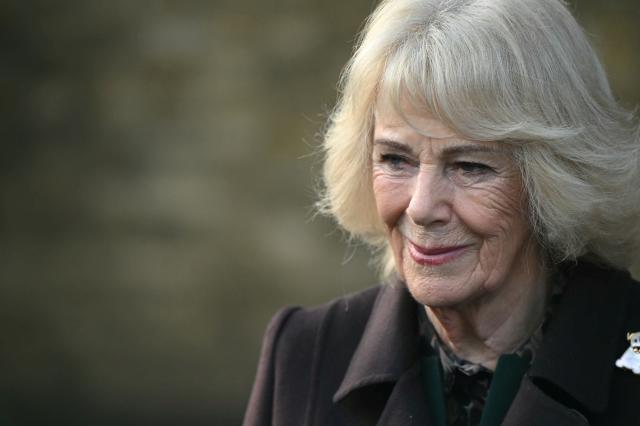 Britain's Queen Camilla departs after attending the opening of a library at Christ Church Primary School in London on February 4, 2026, to help mark the "National Year of Reading" and meet with pupil librarians. (Photo by JUSTIN TALLIS / POOL / AFP)