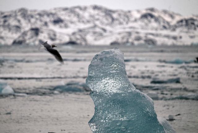 Floating ice is seen at the coastline of the city in Nuuk, western Greenland, on February 4, 2026. (Photo by Ina FASSBENDER / AFP)