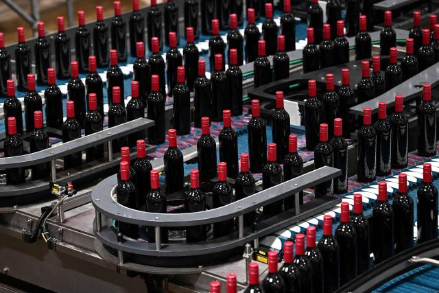 Newly manufactured bottles move around a conveyor belt after being filled with wine at a factory run by British glass containers maker and filler, Encirc, in Elton, north-west England on February 4, 2026. (Photo by Paul ELLIS / AFP)