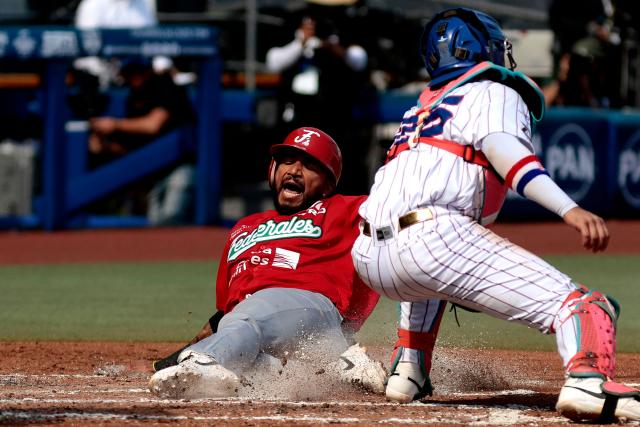 Federales de Chiriqui’s #7 Johan Camargo dives toward home plate as Leones del Escogido’s #25 Michael De La Cruz catches the ball during the third inning of the Caribbean Series baseball tournament seventh game between Panama's Federales de Chiriqui and Dominican Republic's Leones del Escogido at the Panamerican Stadium in Jalisco, Mexico, on February 4, 2026. (Photo by Ulises Ruiz / AFP)