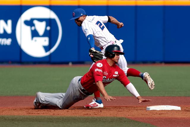 Leones del Escogido’s #2 Gustavo Nunez tags out Federales de Chiriqui’s #89 Luis Eduardo Castillo during the third inning of the Caribbean Series baseball tournament seventh game between Panama's Federales de Chiriqui and Dominican Republic's Leones del Escogido at the Panamerican Stadium in Jalisco, Mexico, on February 4, 2026. (Photo by Ulises Ruiz / AFP)