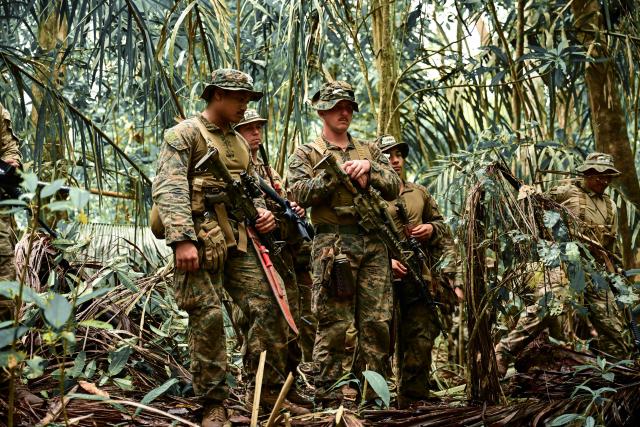 US soldiers, together with Panamanian police officers, take part in a jungle training exercise at Fort Sherman, in Colon province, Panama, on February 6, 2026. Panama and the United States are conducting new joint exercises as part of periodic US military activities focused on the defense of the Panama Canal. (Photo by MARTIN BERNETTI / AFP)