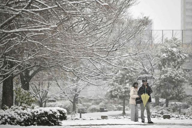 People walk as snow falls over Hamacho park in Tokyo's Chuo district on February 8, 2026. (Photo by Philip FONG / AFP)