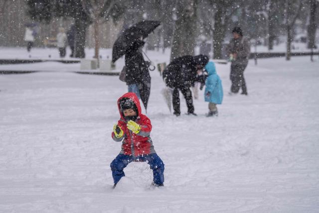 A child plays with snow at a park in Tokyo on February 8, 2026. (Photo by Yuichi YAMAZAKI / AFP)