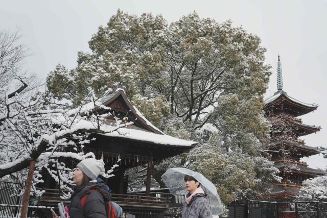 Tourists visit Toshogu Shrine in Ueno Park during a snowfall in Tokyo on February 8, 2026. (Photo by Kazuhiro NOGI / AFP)