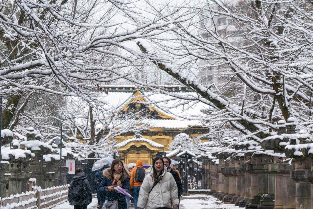 Tourists visit Toshogu Shrine in Ueno Park during a snowfall in Tokyo on February 8, 2026. (Photo by Kazuhiro NOGI / AFP)