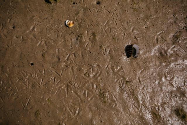 Bird footprints are seen on the sand along the coast of the Banc d’Arguin on February 6, 2026. The Blue March held its second edition this year at the Banc d’Arguin, a UNESCO World Heritage site marking its 50th anniversary. The citizen-led artistic and environmental initiative is organised by the Mauritanian Environmental Association (AME), and was initiated by Mauritanian-born Malian film director Abderrahmane Sissako and Senegalese screenwriter Kessen Fatoumata Tall.
The week-long collective walk aims to raise awareness of Mauritania’s biodiversity and foster dialogue on climate change and desertification among researchers, artists and policymakers. (Photo by Kang-Chun Cheng / AFP)