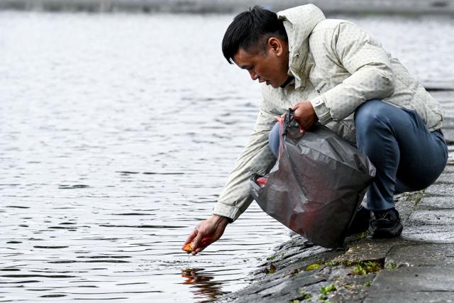 A man releases a fish into Hoan Kiem Lake in Hanoi on February 9, 2026. (Photo by Nhac NGUYEN / AFP)