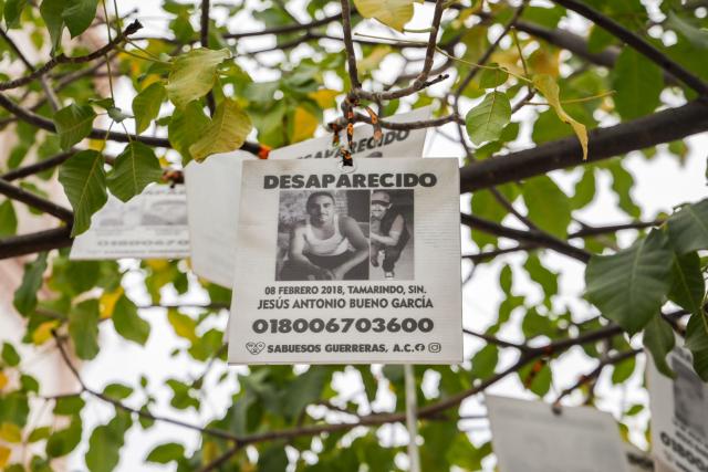 A photo of a missing person hangs from a tree in downtown Culiacan, Sinaloa state, Mexico, on February 9, 2026. Three of the 10 employees of a Canadian mining company who were kidnapped two weeks ago in Mexico's violence-plagued Sinaloa state have been found dead, Mexico's Mining Chamber said on February 9. (Photo by Jesus Verdugo / AFP)