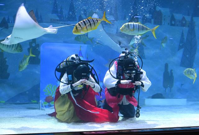 South Korean divers wearing traditional hanbok dresses make a bow during an underwater show to celebrate the upcoming Lunar New Year at the COEX aquarium in Seoul on February 10, 2026. (Photo by Jung Yeon-je / AFP)