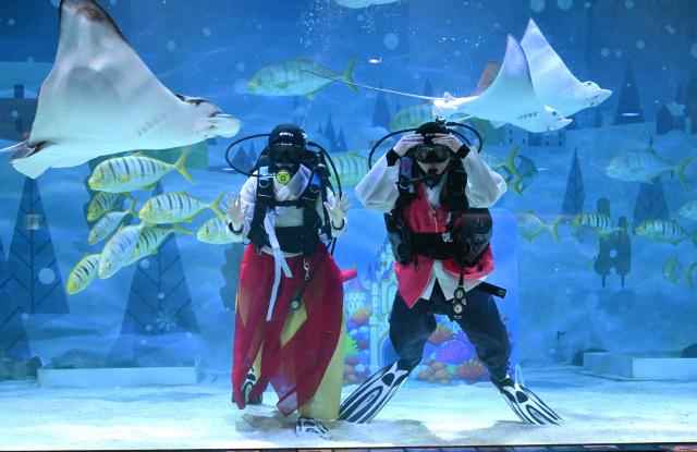 South Korean divers wearing traditional hanbok dresses make a bow during an underwater show to celebrate the upcoming Lunar New Year at the COEX aquarium in Seoul on February 10, 2026. (Photo by Jung Yeon-je / AFP)