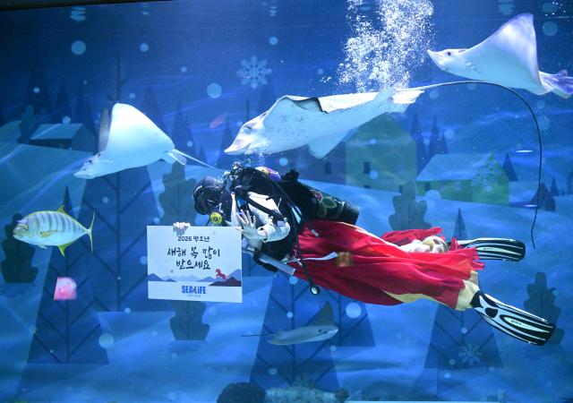A South Korean diver wearing traditional hanbok dresses holds a placard reading "Happy New Year!" during an underwater show to celebrate the upcoming Lunar New Year at the COEX aquarium in Seoul on February 10, 2026. (Photo by Jung Yeon-je / AFP)