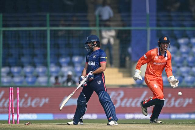 Netherlands' wicketkeeper and captain Scott Edwards (R) celebrates after stumping out Namibia's Louren Steenkamp during the 2026 ICC Men's T20 Cricket World Cup group stage match between Netherlands and Namibia at the Arun Jaitley Stadium in New Delhi on February 10, 2026. (Photo by Arun SANKAR / AFP)