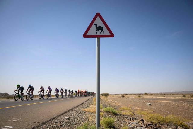 The pack rides during the 5th and last stage of the Tour of Oman cycling race from Nizwa to Green Mountain, on February 11, 2026. (Photo by Loic VENANCE / AFP)