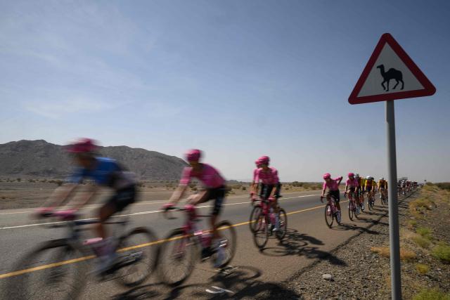 The pack rides during the 5th and last stage of the Tour of Oman cycling race from Nizwa to Green Mountain, on February 11, 2026. (Photo by Loic VENANCE / AFP)