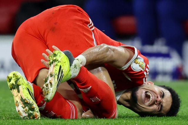 Bayern Munich's Colombian forward #14 Luis Diaz reacts after sustaining an injury during the German Cup (DFB-Pokal) quarter-final football match between FC Bayern Munich and RB Leipzig in Munich, southern Germany on February 11, 2026. (Photo by Alexandra BEIER / AFP) / DFB REGULATIONS PROHIBIT ANY USE OF PHOTOGRAPHS AS IMAGE SEQUENCES AND QUASI-VIDEO.